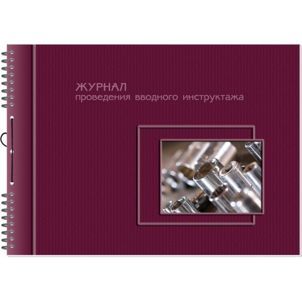 Журнал проведения вводного инструктажа (по ТБ