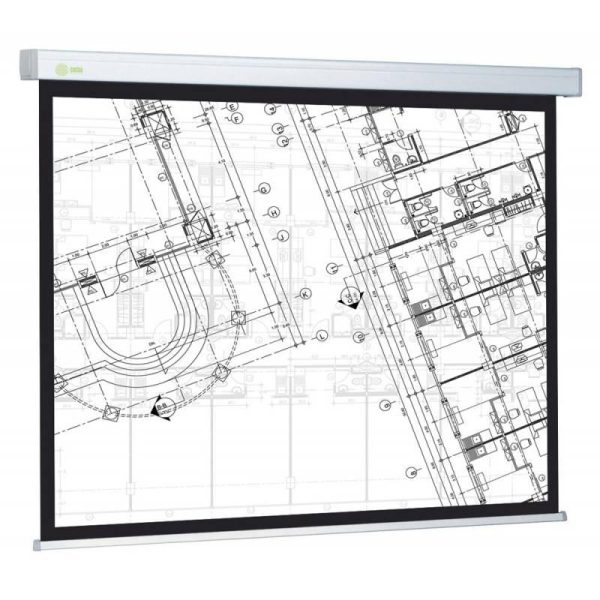 Экран настенный Cactus Wallscreen CS-PSW-124x221