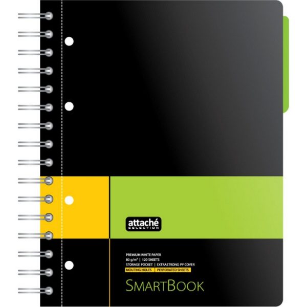 Бизнес-тетрадь SMARTBOOK А5 120л. линейка