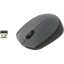 Мышь компьютерная Logitech беспроводная M170